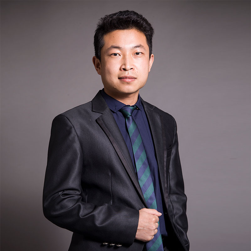 副秘书长